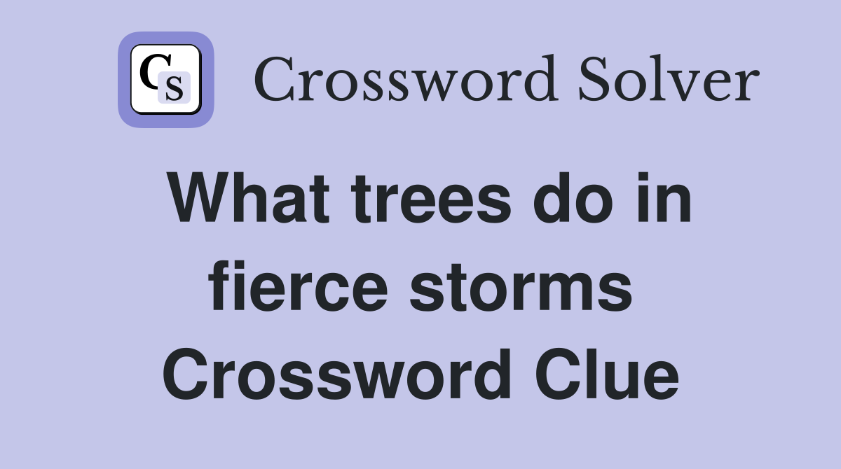 What trees do in fierce storms Crossword Clue