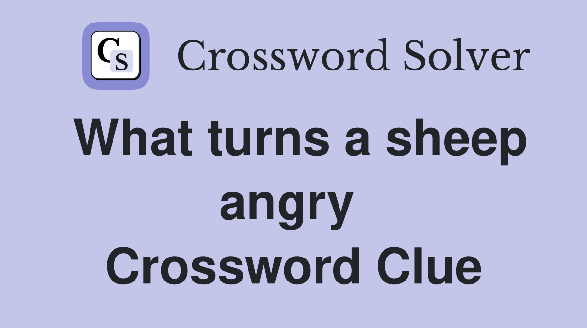 What turns a sheep angry  Crossword Clue