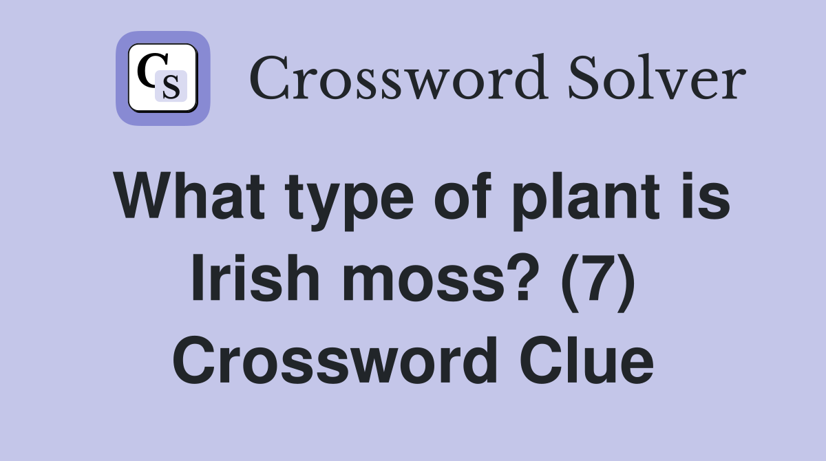 What type of plant is Irish moss? (7) Crossword Clue