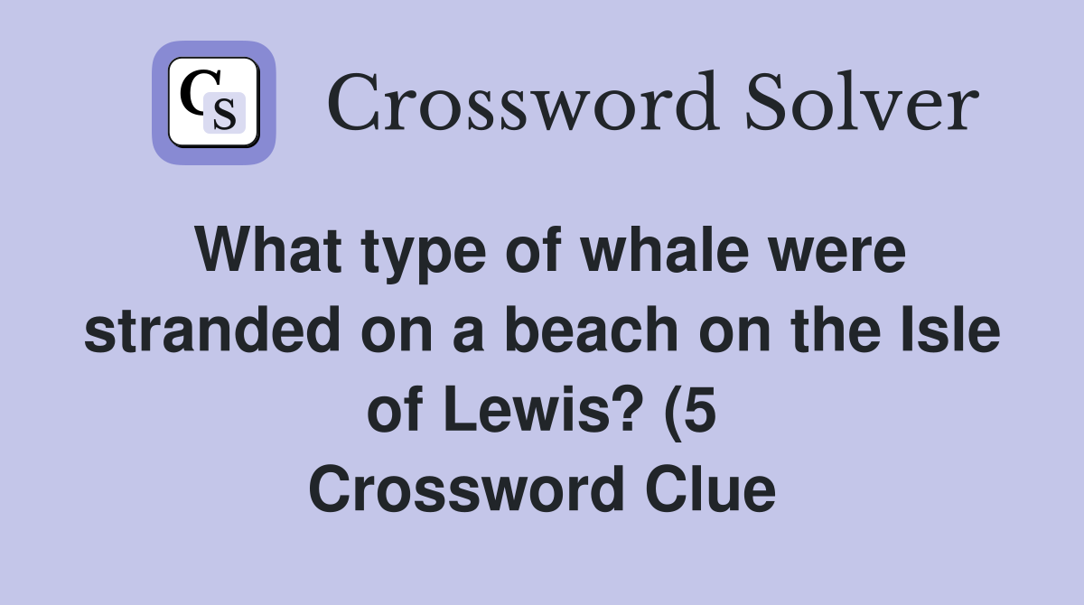 What type of whale were stranded on a beach on the Isle of Lewis? (5 What type of whale were stranded on a beach on the Isle of Lewis? (5