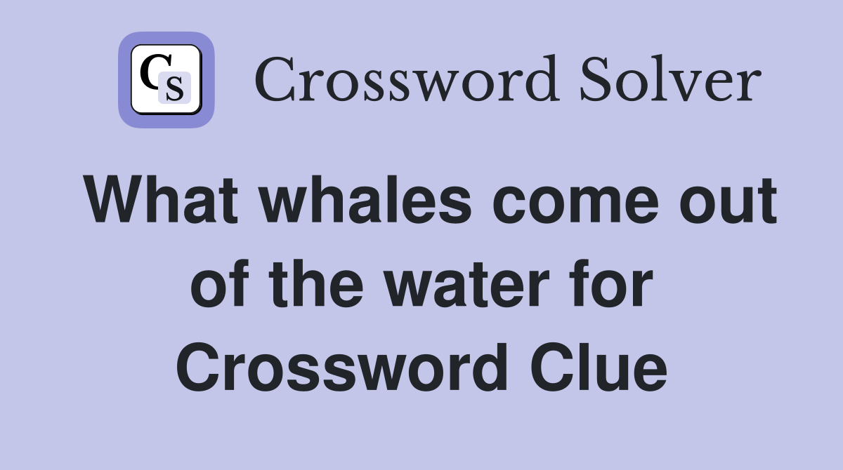 What whales come out of the water for Crossword Clue