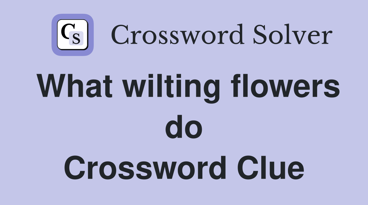 What wilting flowers do Crossword Clue
