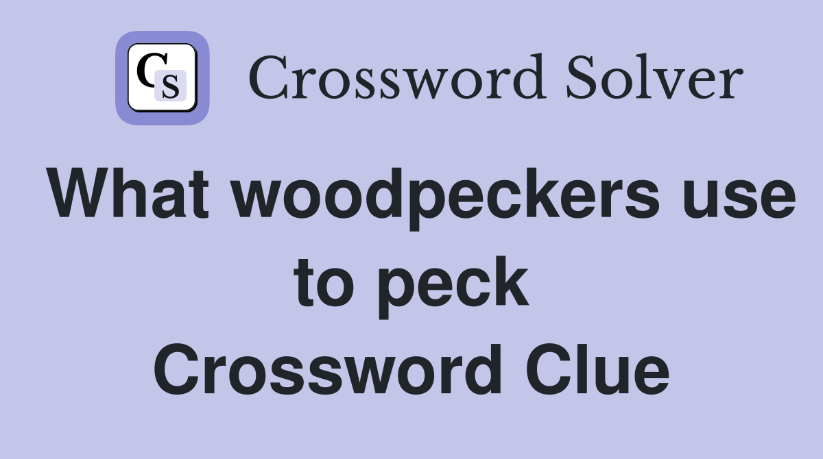 What woodpeckers use to peck Crossword Clue