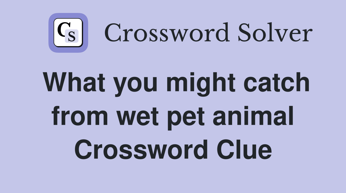 What you might catch from wet pet animal Crossword Clue
