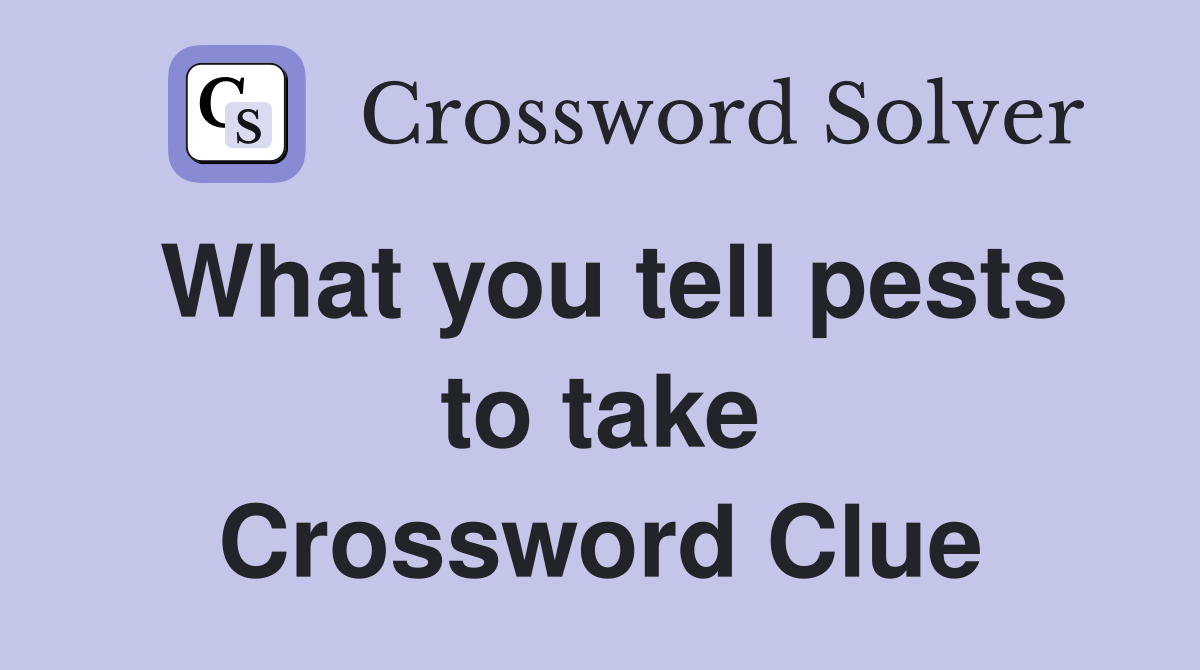 What you tell pests to take Crossword Clue
