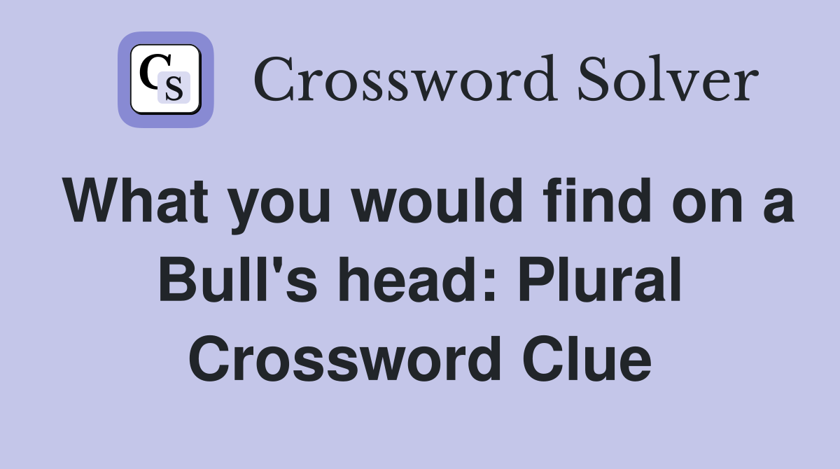 What you would find on a Bull's head: Plural Crossword Clue