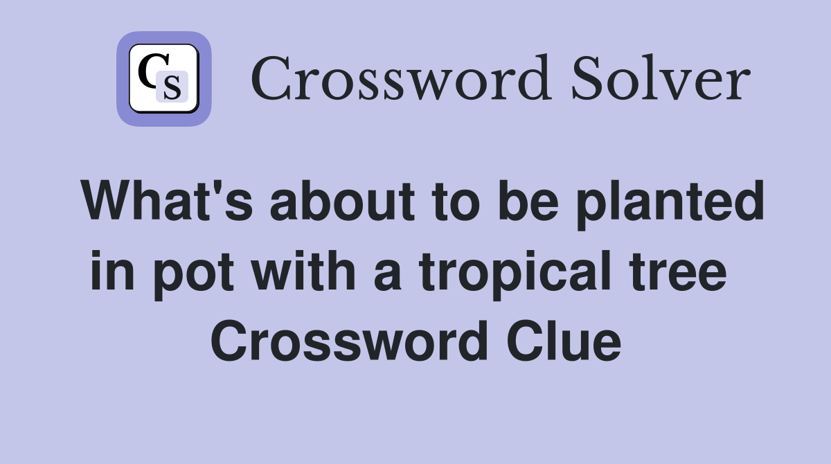 What's about to be planted in pot with a tropical tree  Crossword Clue