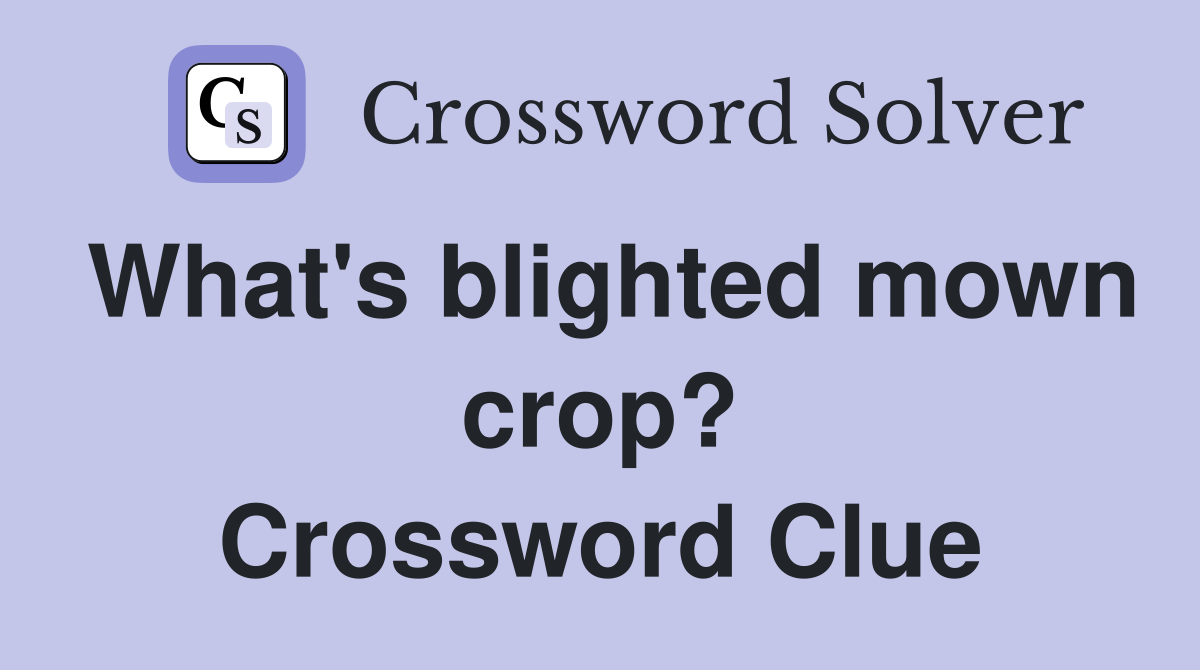 What's blighted mown crop? Crossword Clue