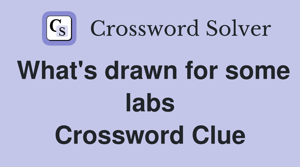 What's drawn for some labs Crossword Clue