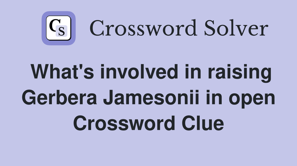 What's involved in raising Gerbera Jamesonii in open Crossword Clue