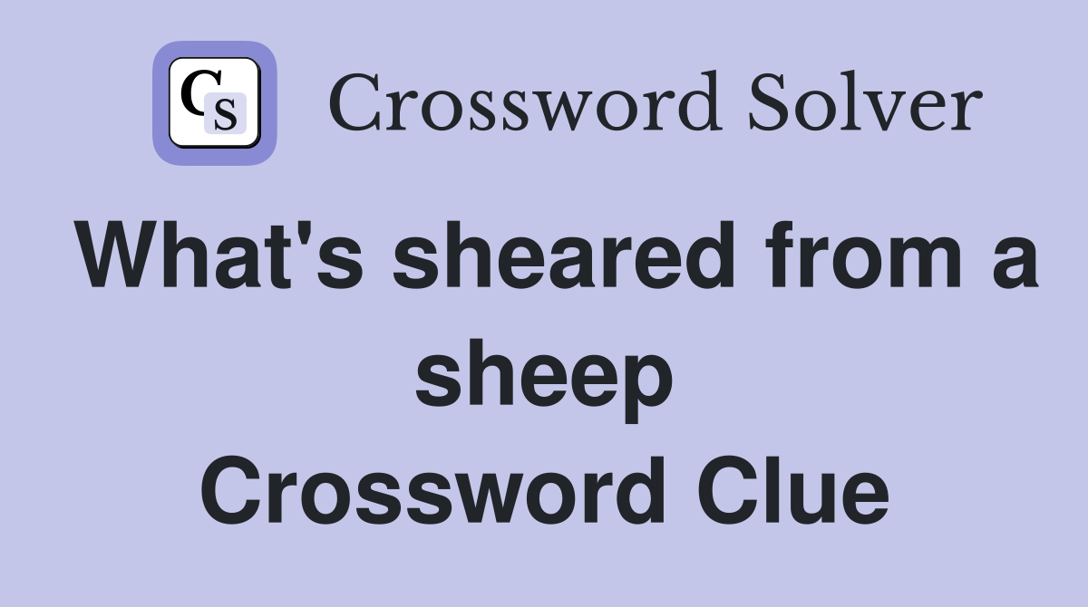 What's sheared from a sheep Crossword Clue