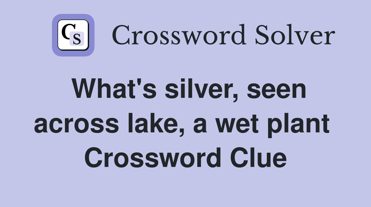 What's silver, seen across lake, a wet plant  Crossword Clue