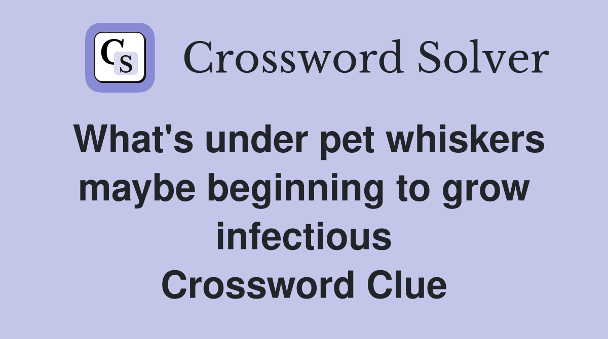 What's under pet whiskers maybe beginning to grow infectious Crossword Clue