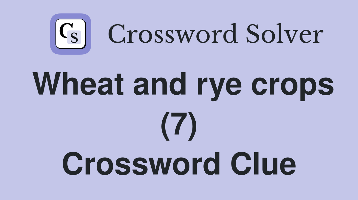 Wheat and rye crops (7) Crossword Clue