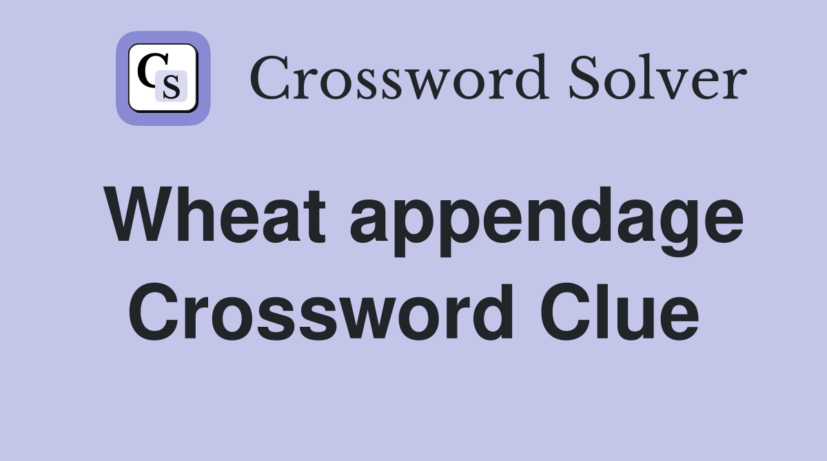 Wheat appendage Crossword Clue