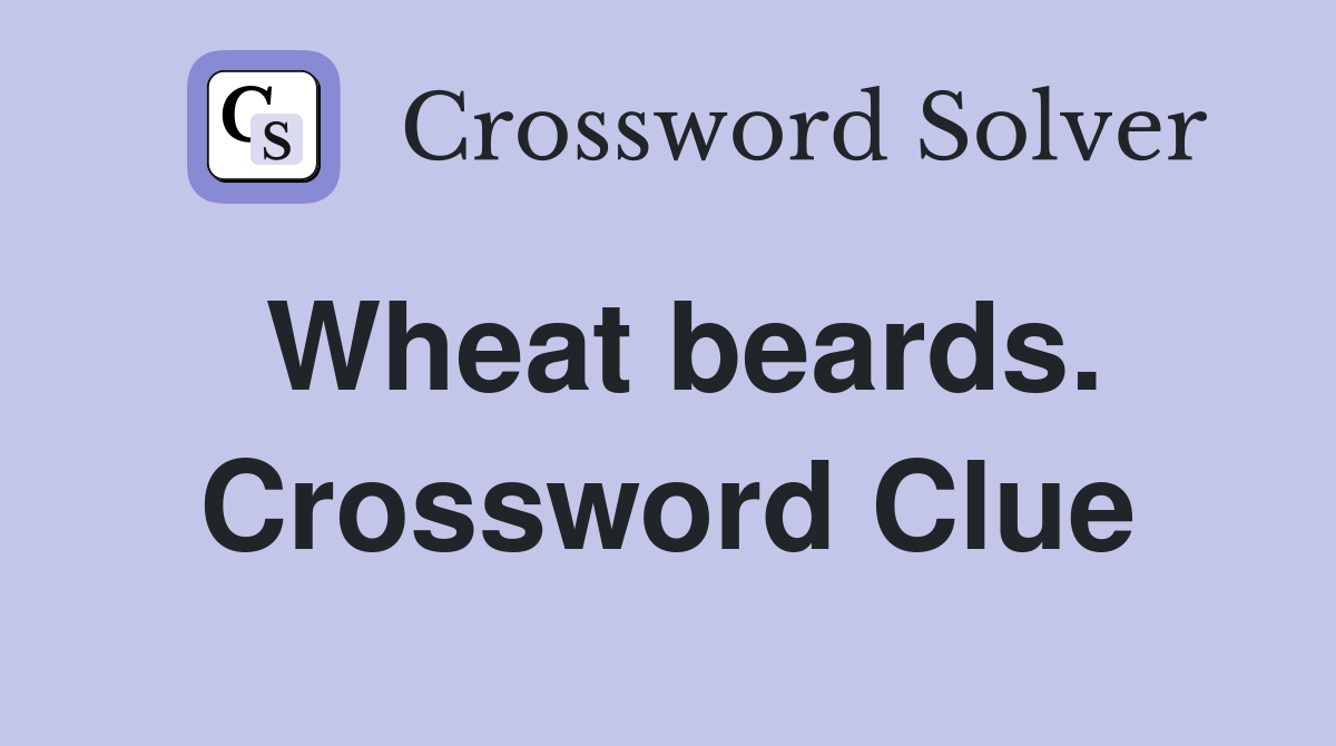 Wheat beards. Crossword Clue