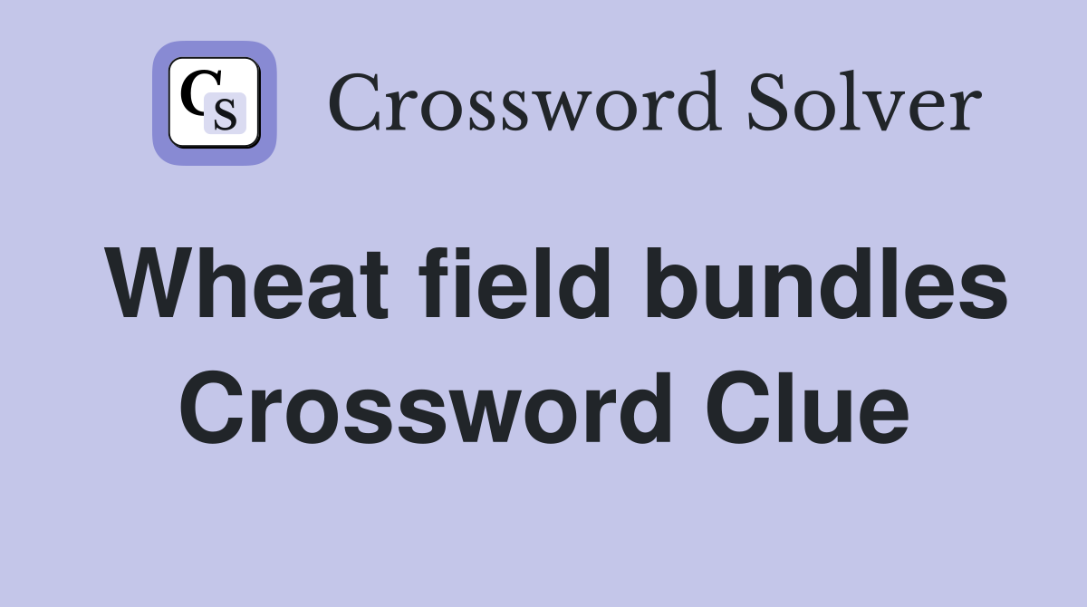 Wheat field bundles Crossword Clue