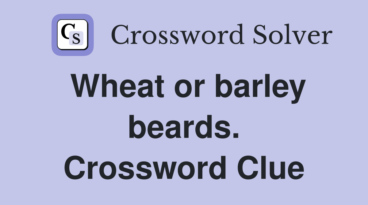 Wheat or barley beards. Crossword Clue