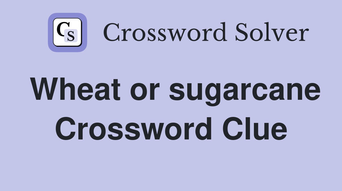 Wheat or sugarcane Crossword Clue