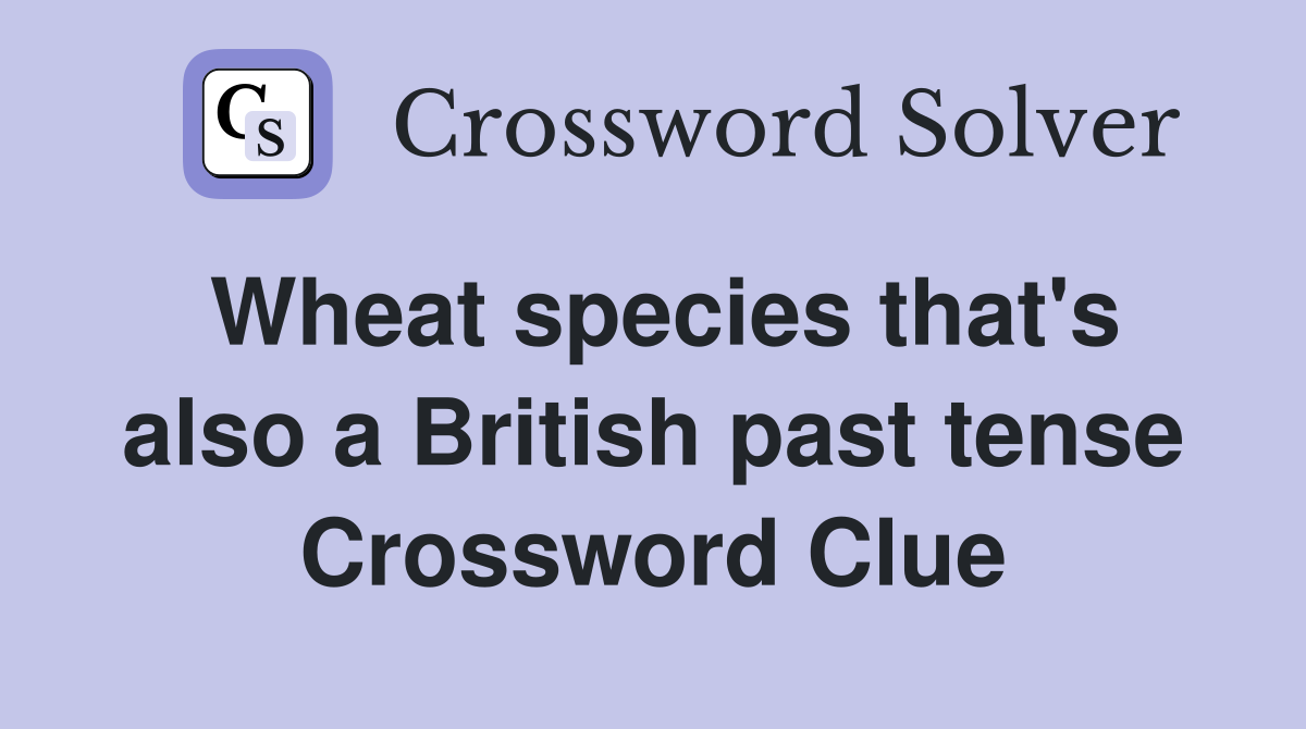 Wheat species that's also a British past tense Crossword Clue
