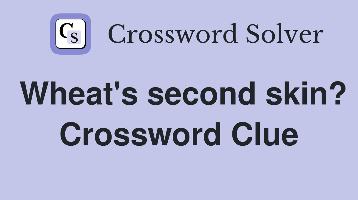 Wheat's second skin? Crossword Clue