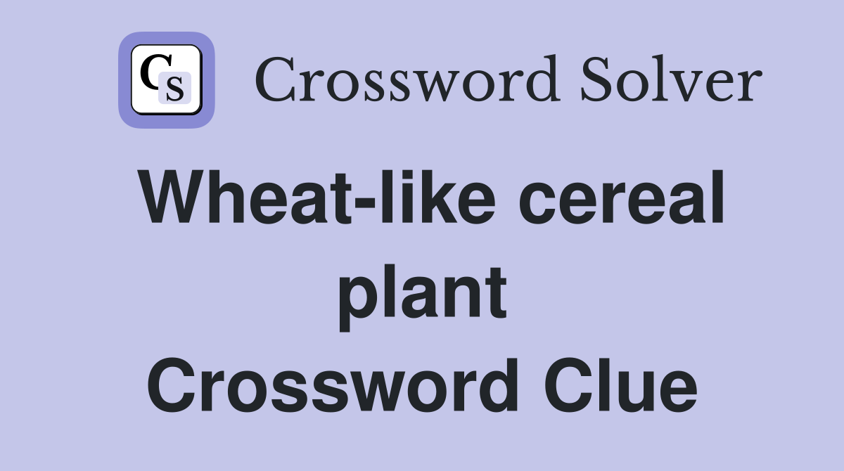 Wheat-like cereal plant Crossword Clue