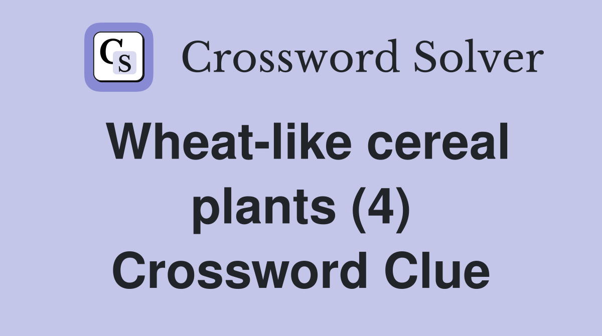 Wheat-like cereal plants (4) Crossword Clue