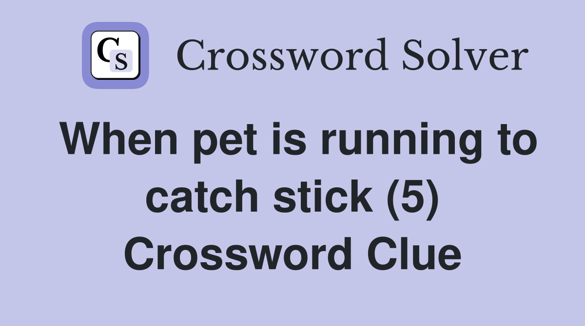 When pet is running to catch stick (5) Crossword Clue