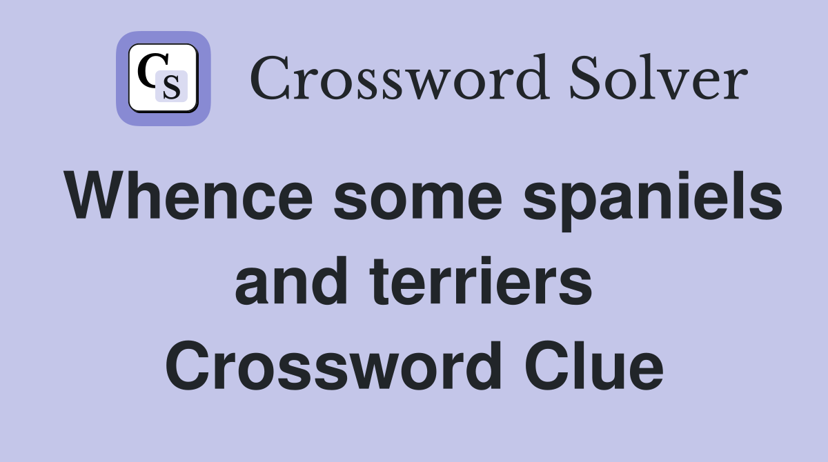 Whence some spaniels and terriers Crossword Clue