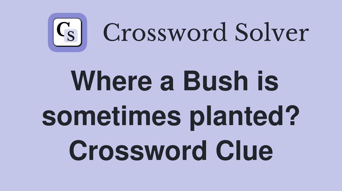 Where a Bush is sometimes planted? Crossword Clue