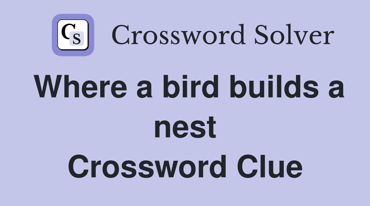 Where a bird builds a nest Crossword Clue