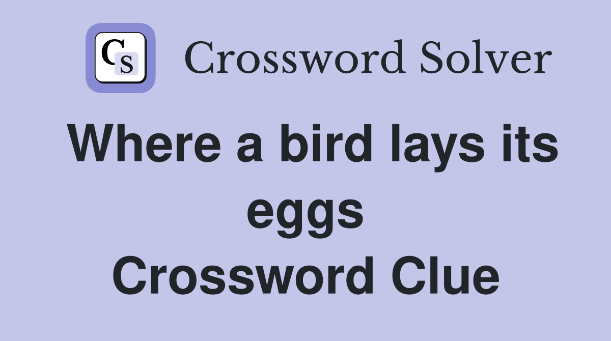 Where a bird lays its eggs Crossword Clue