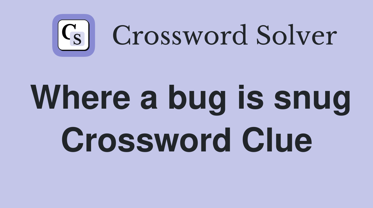 Where a bug is snug Crossword Clue