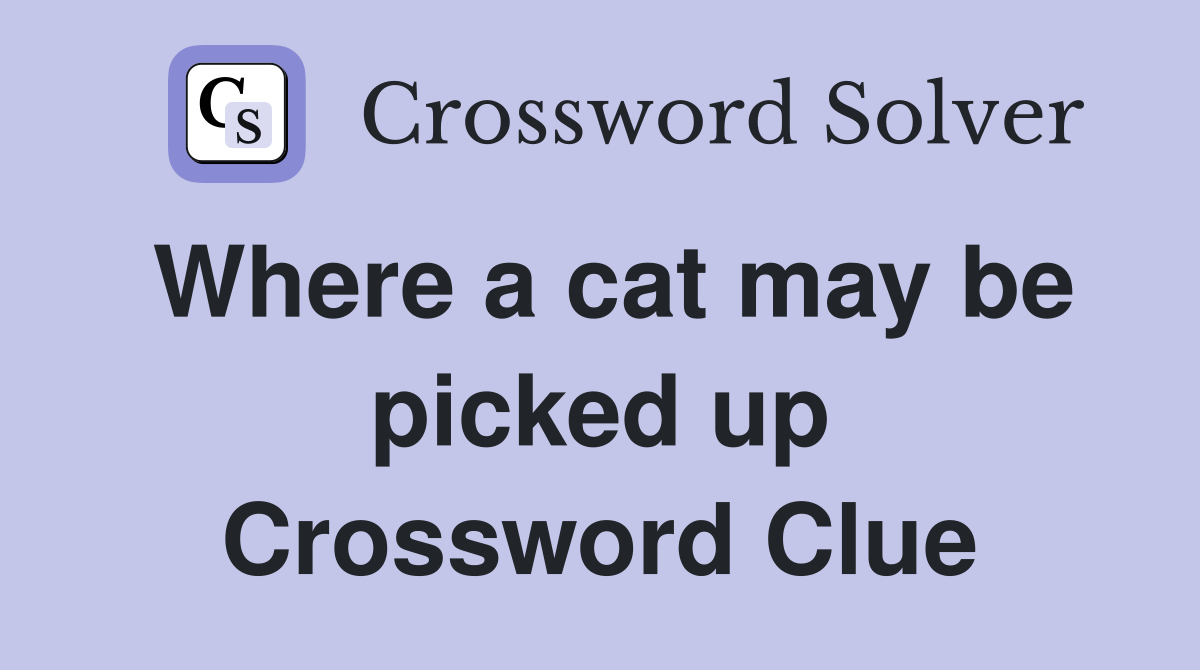 Where a cat may be picked up Crossword Clue