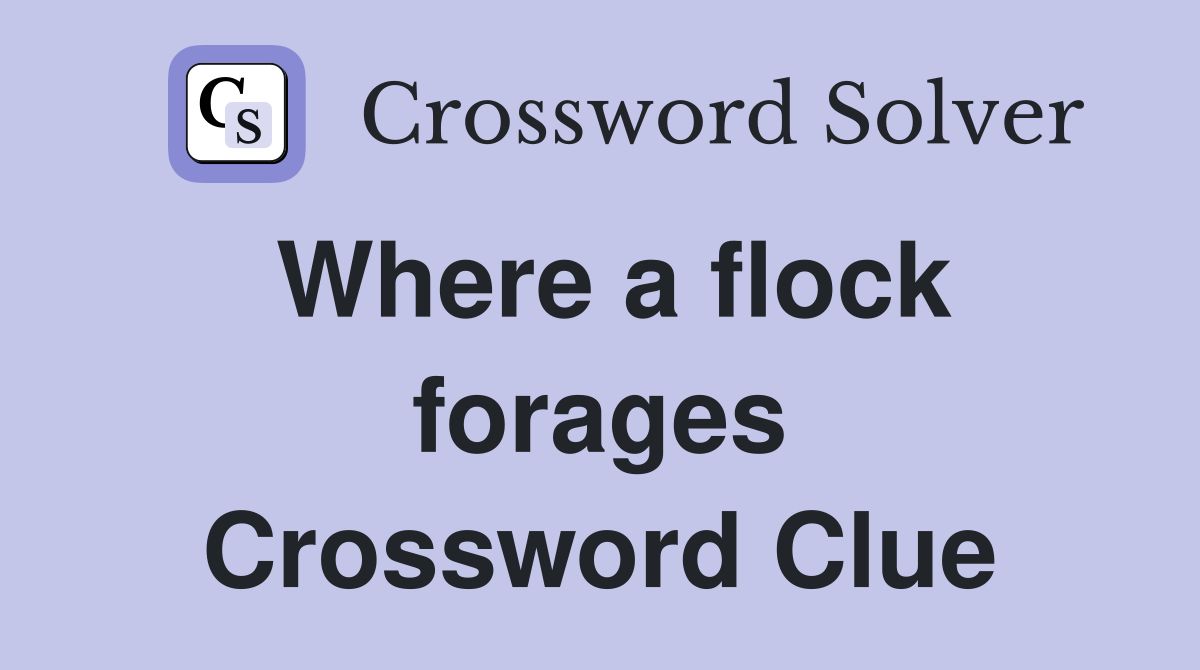 Where a flock forages Crossword Clue