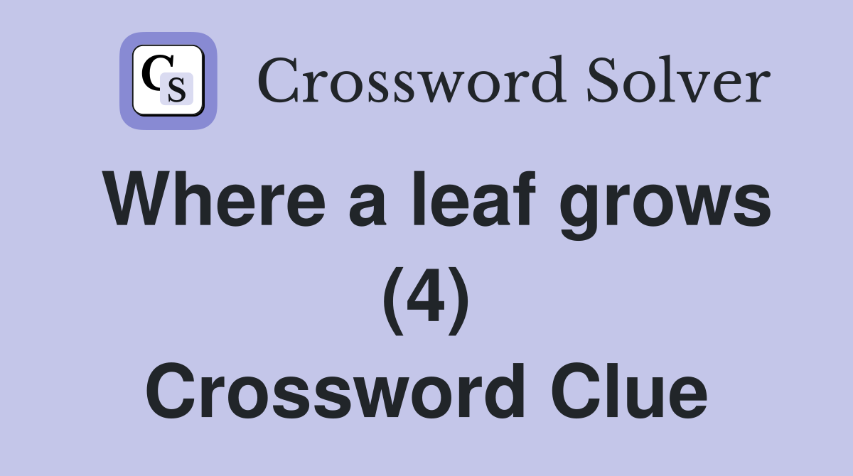 Where a leaf grows (4) Crossword Clue