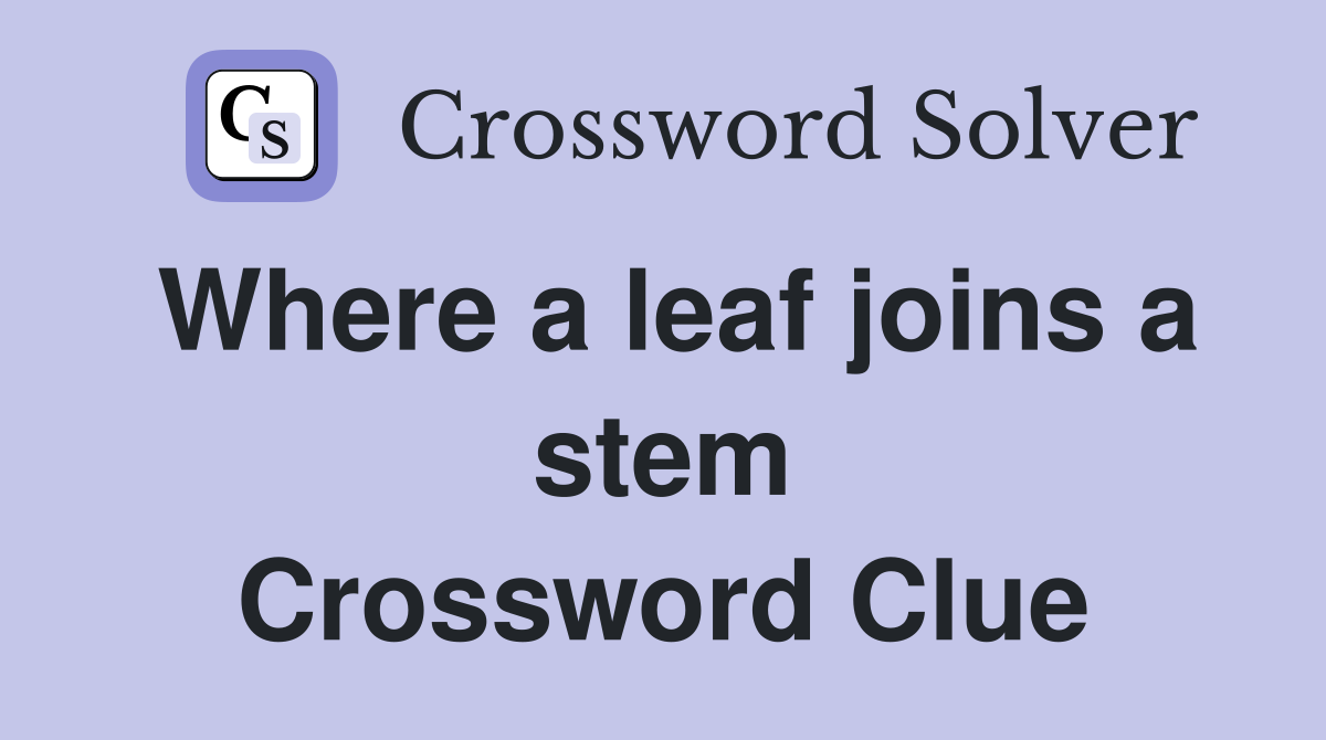 Where a leaf joins a stem Crossword Clue