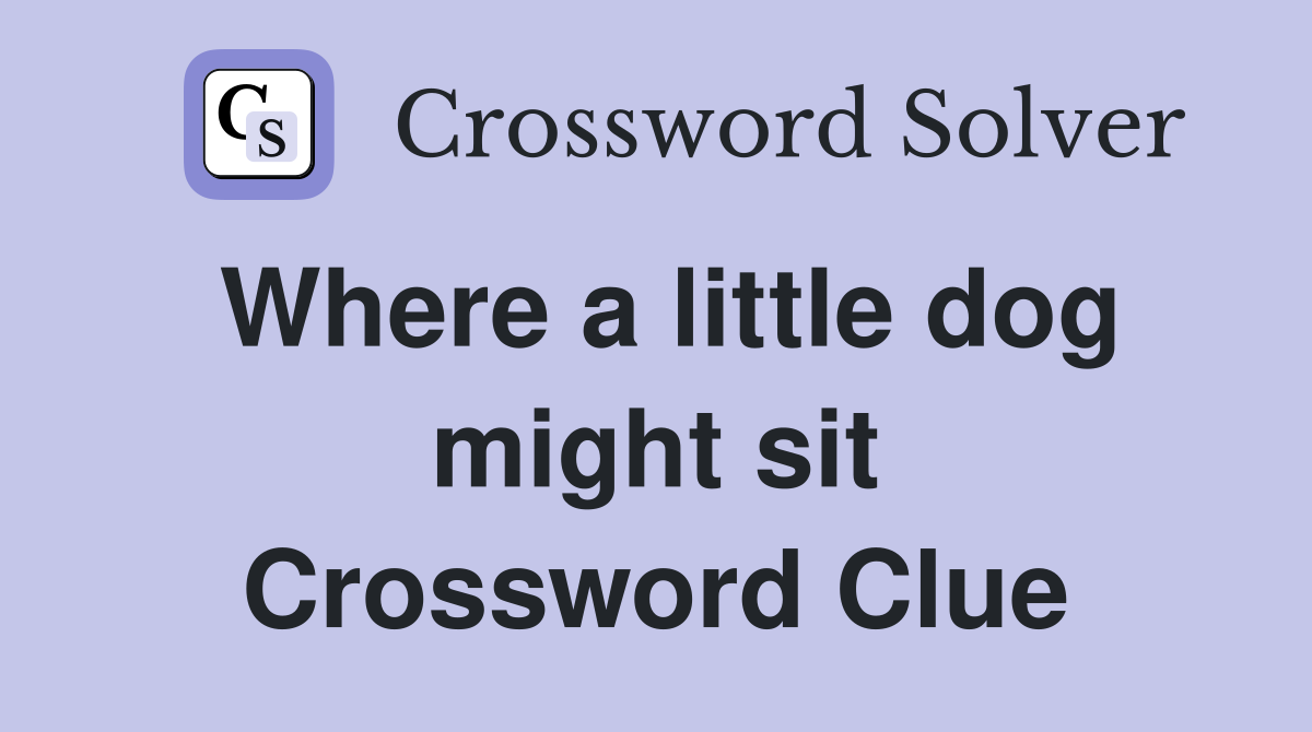 Where a little dog might sit Crossword Clue