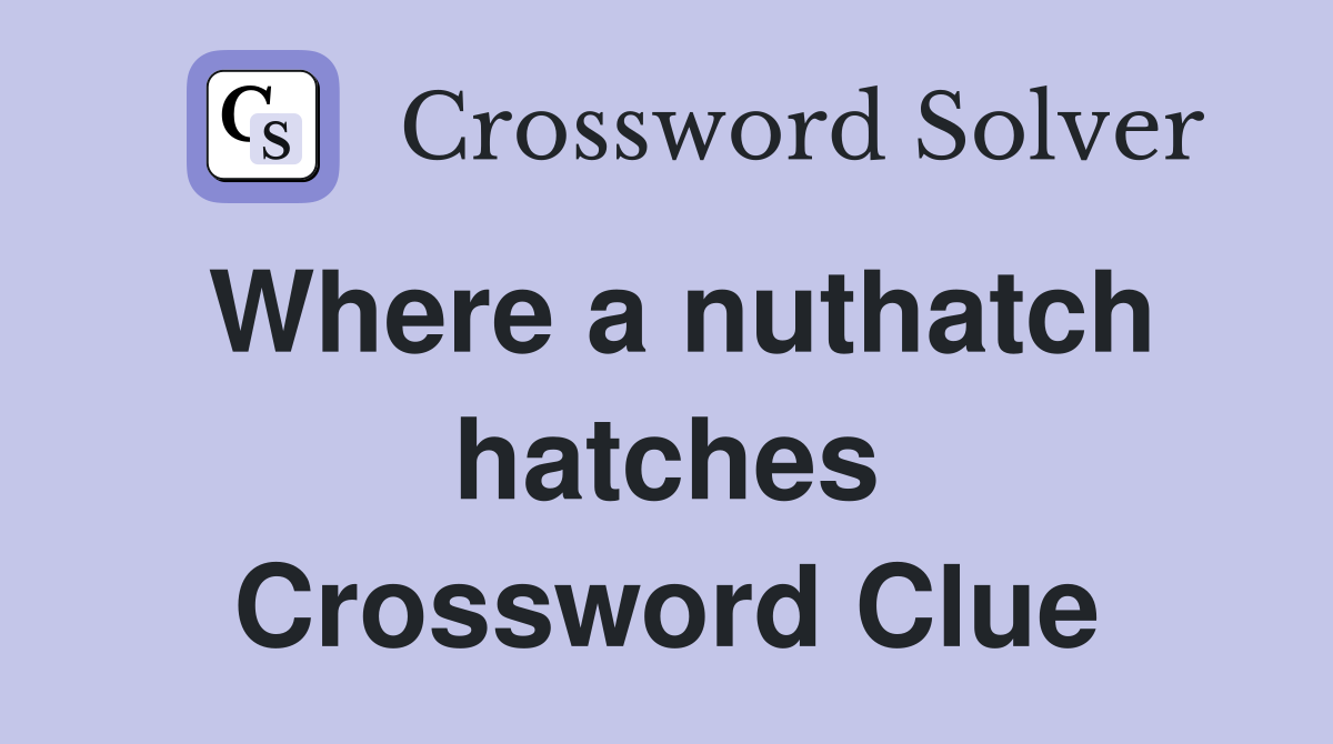 Where a nuthatch hatches Crossword Clue