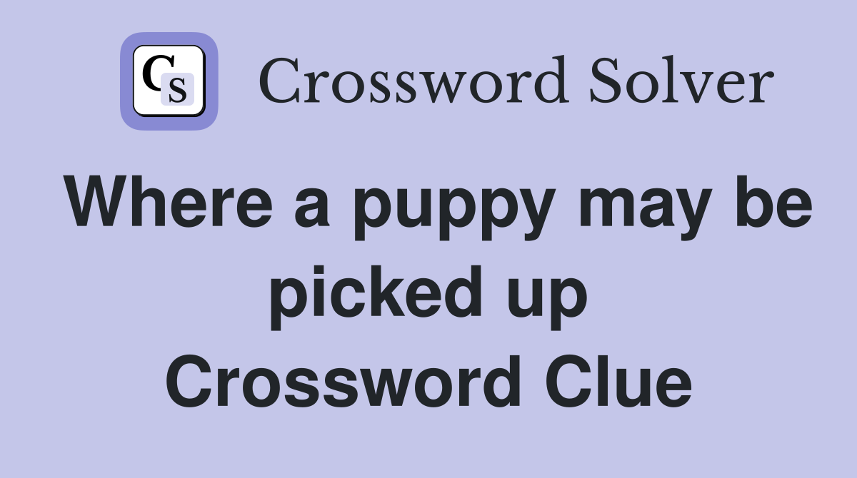 Where a puppy may be picked up Crossword Clue