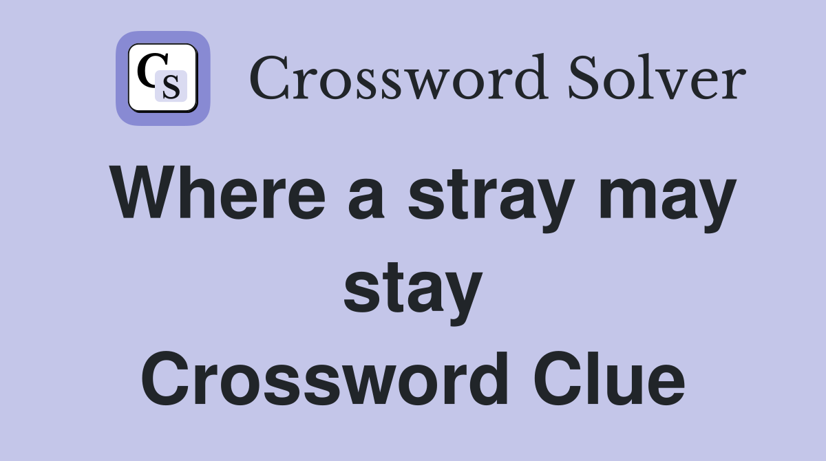 Where a stray may stay Crossword Clue