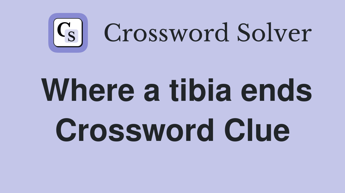 Where a tibia ends Crossword Clue