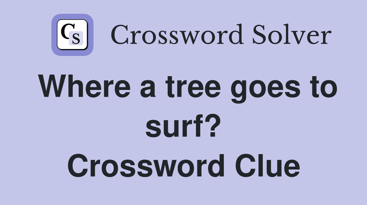 Where a tree goes to surf? Crossword Clue