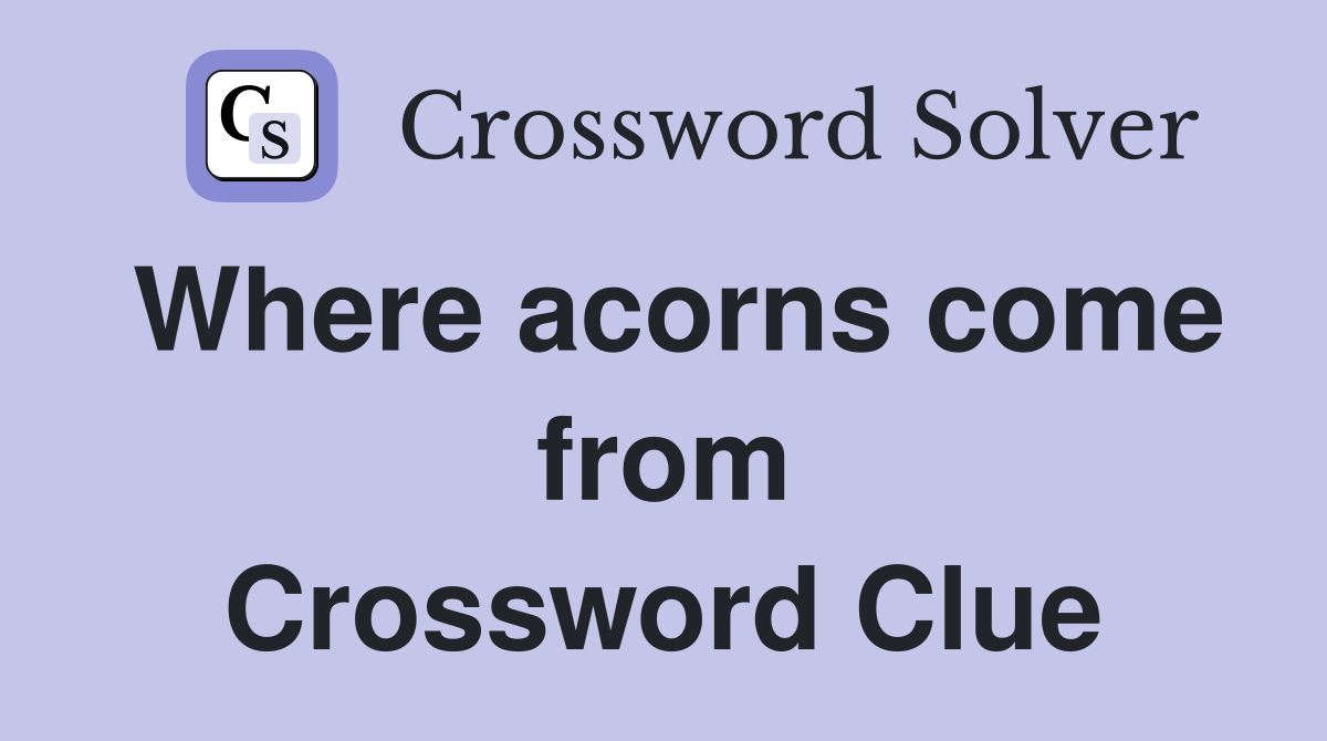 Where acorns come from Crossword Clue