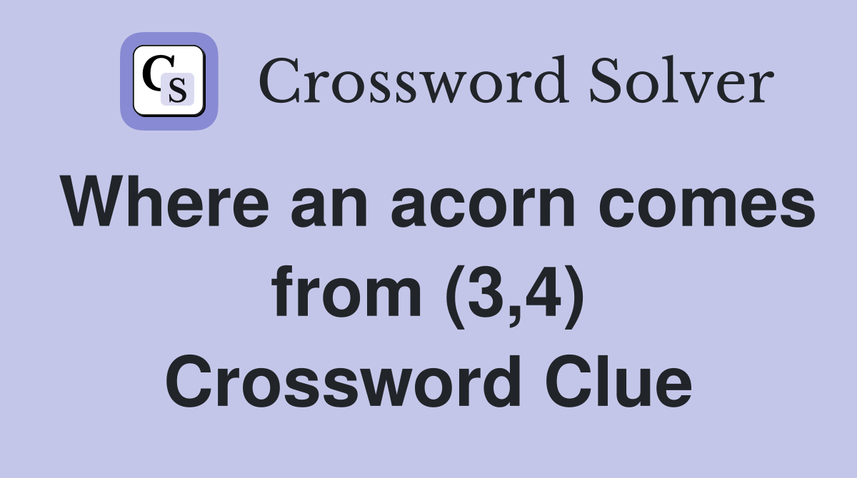 Where an acorn comes from (3,4) Crossword Clue