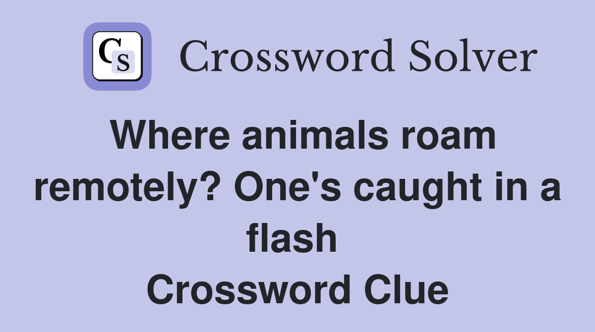 Where animals roam remotely? One's caught in a flash  Crossword Clue
