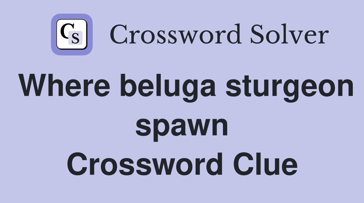 Where beluga sturgeon spawn Crossword Clue
