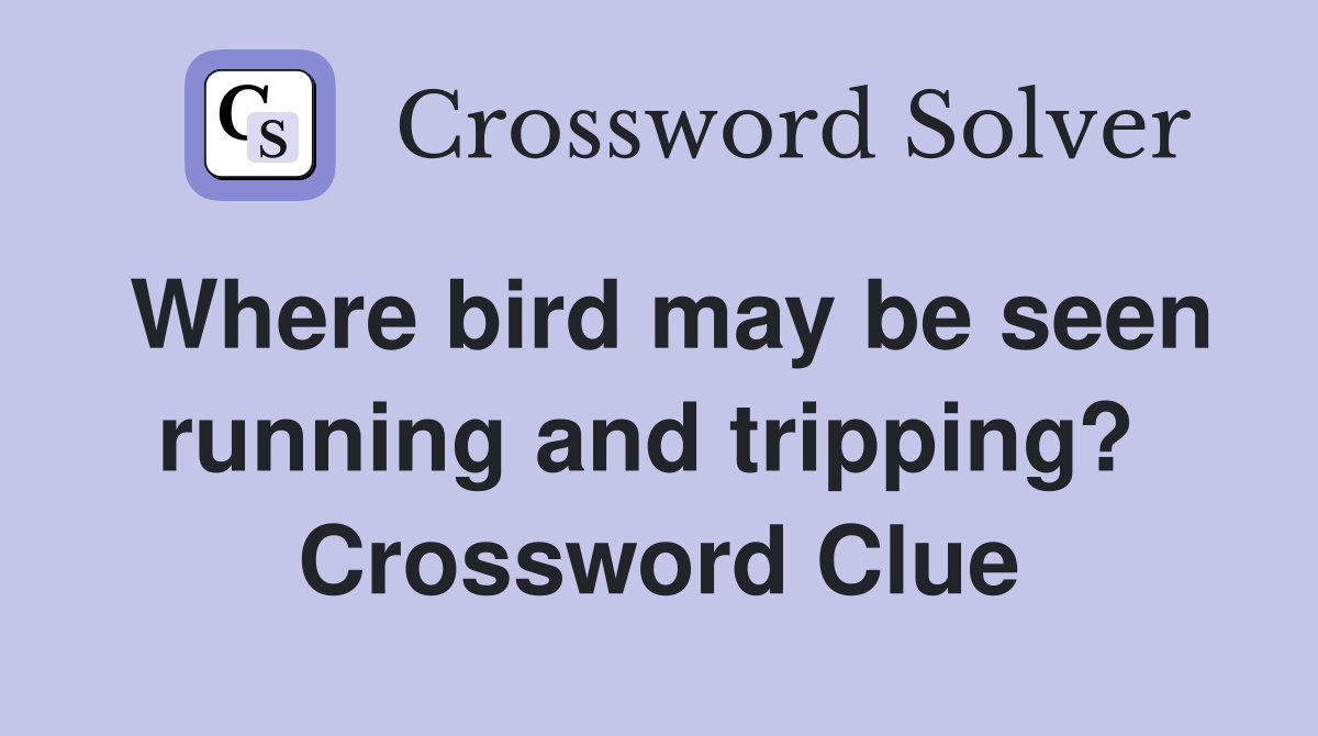 Where bird may be seen running and tripping?  Crossword Clue