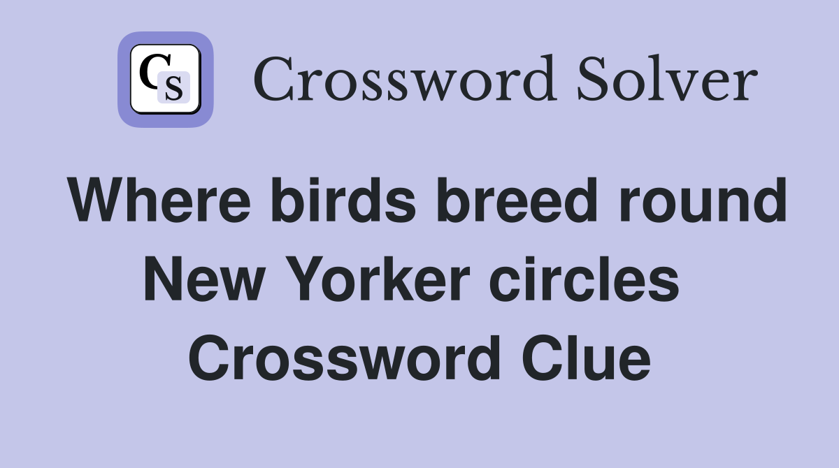 Where birds breed round New Yorker circles  Crossword Clue