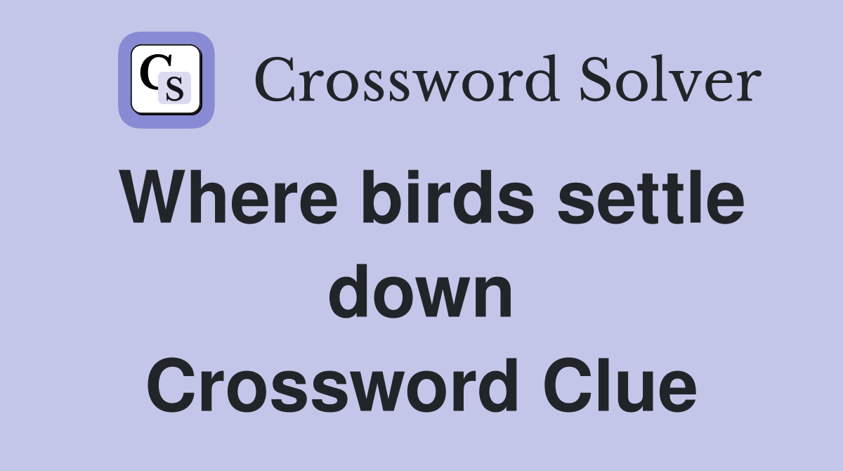 Where birds settle down Crossword Clue